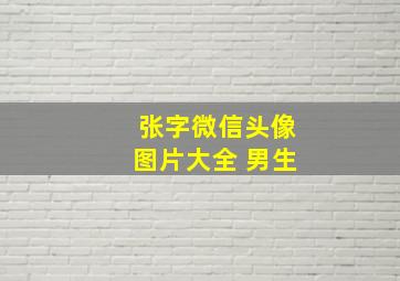 张字微信头像图片大全 男生